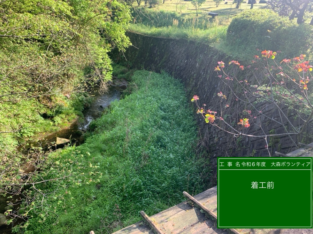 須山商事2024年ボランティア活動