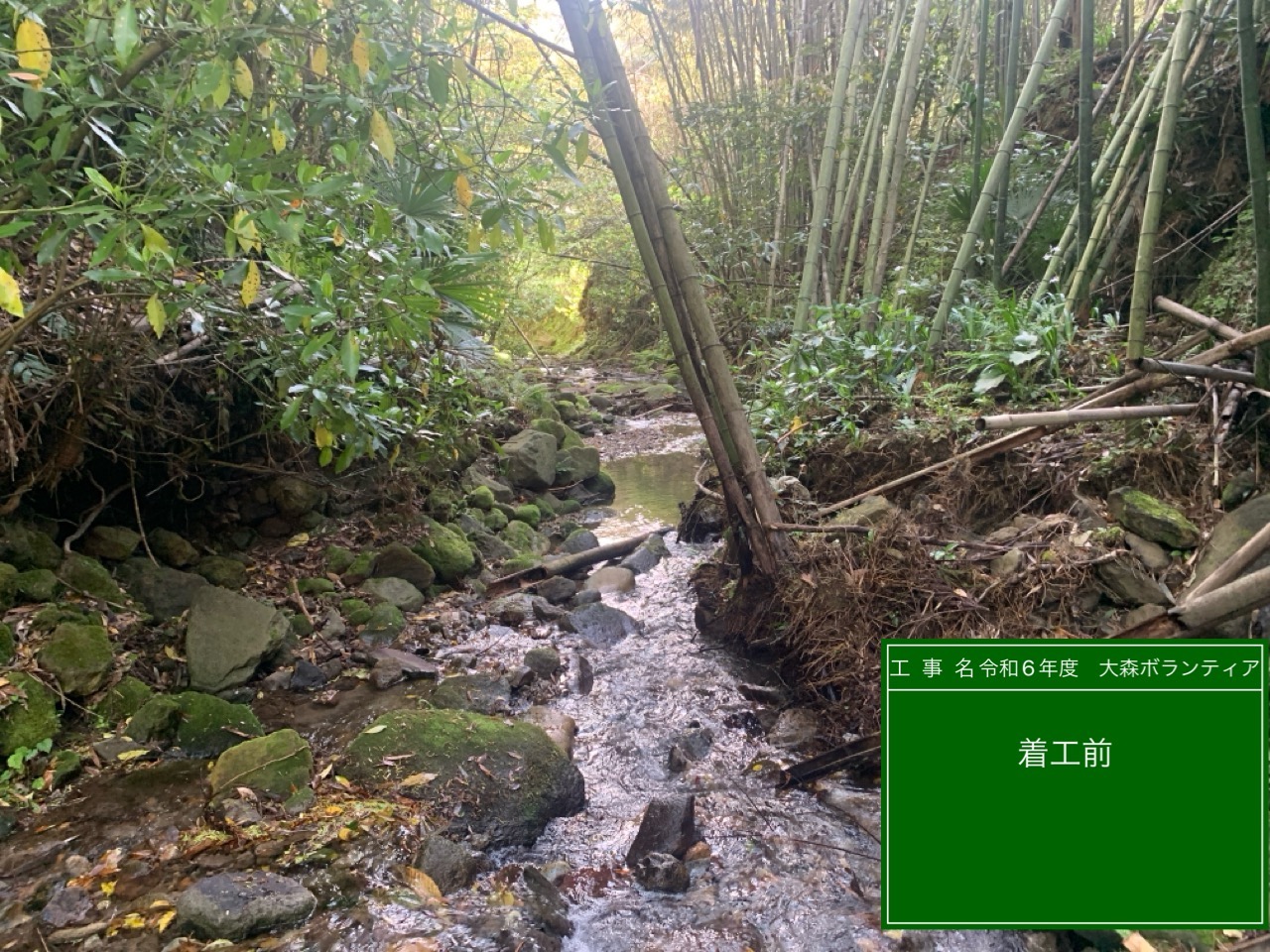 須山商事2024年ボランティア活動