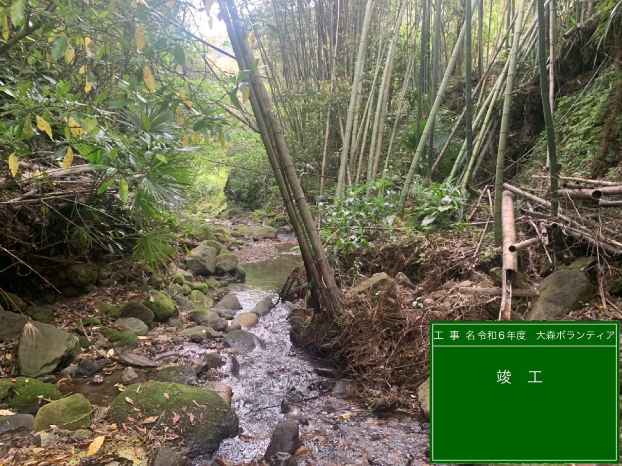 須山商事2024年ボランティア活動