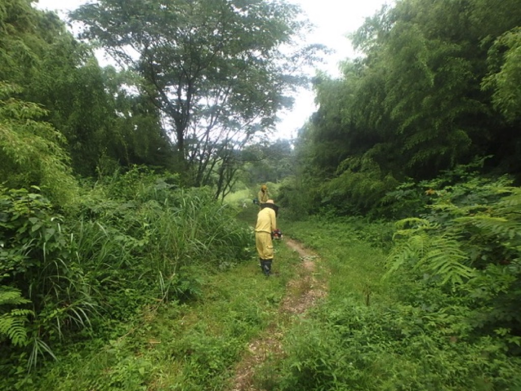 東幸建設ボランティア活動