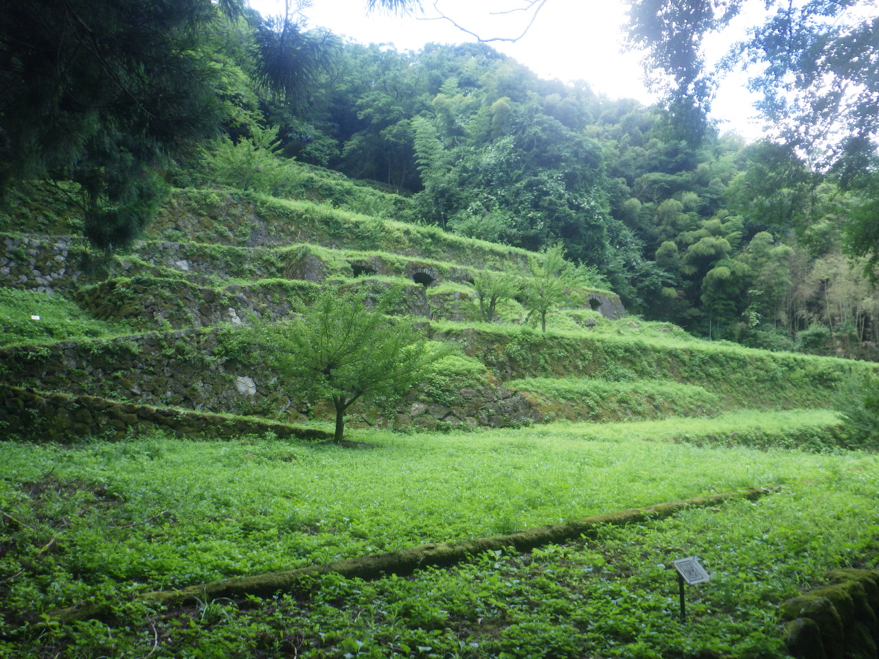 東幸建設ボランティア活動
