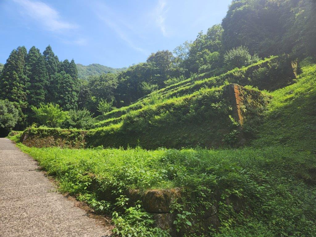 東幸建設ボランティア活動