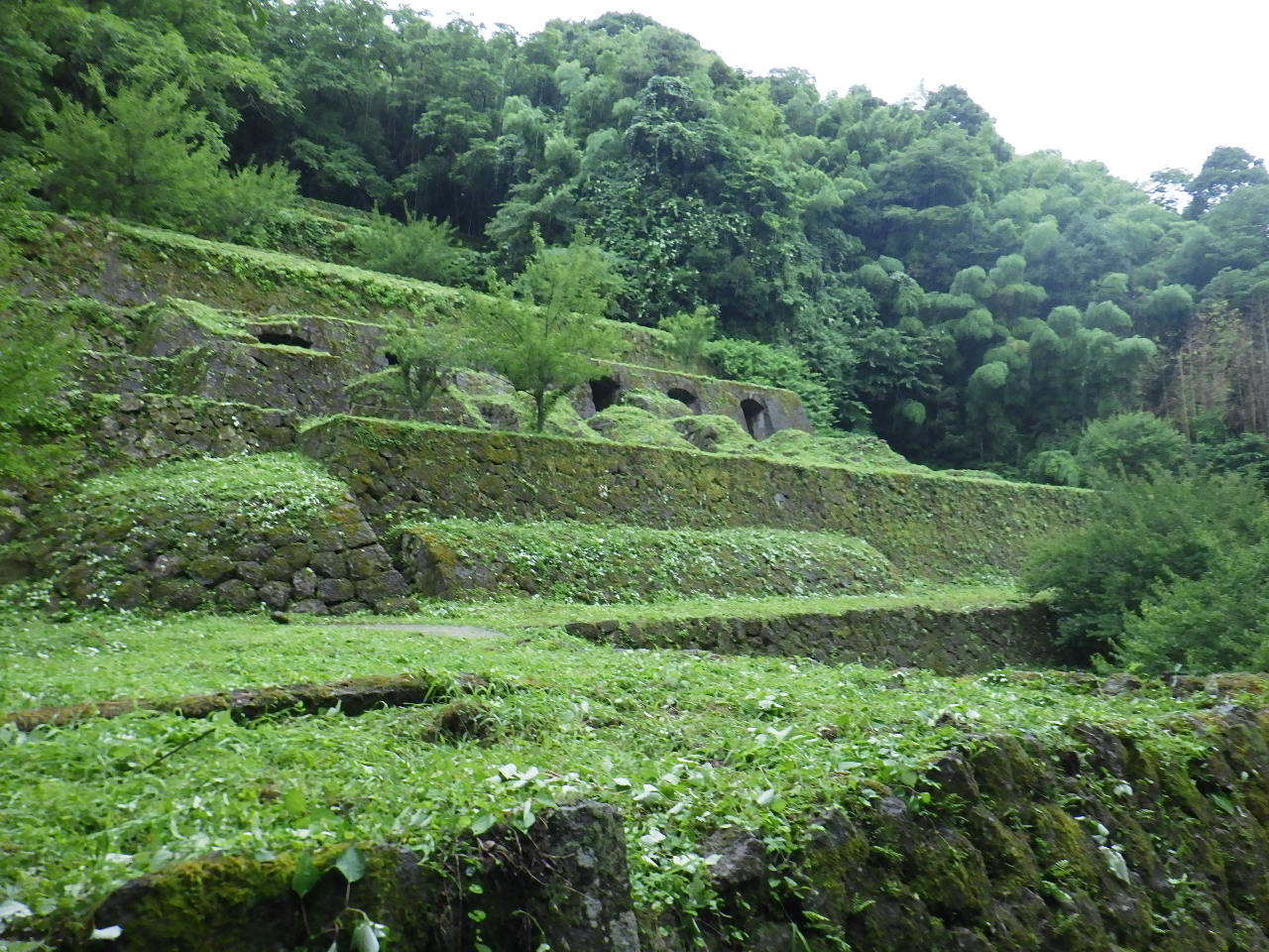 東幸建設2024年ボランティア活動
